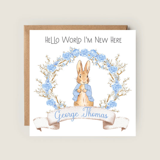 baby blue peter rabbit